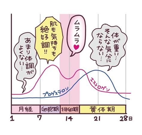 生理周期 ムラムラ|生理中は性欲がやたら強くなる......一体なぜ？